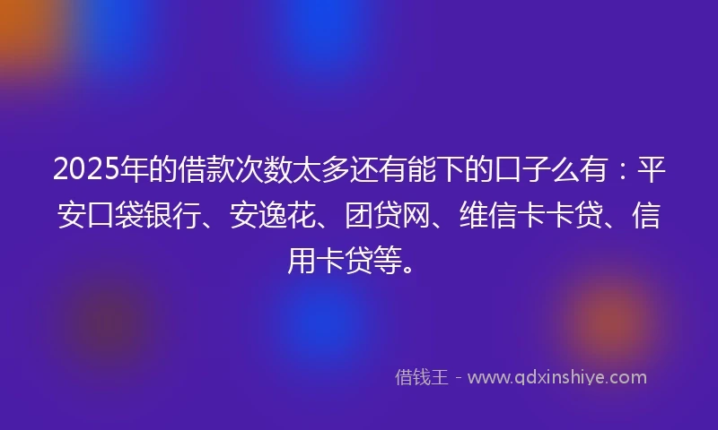 2025年的借款次数太多还有能下的口子么有：平安口袋银行、安逸花、团贷网、维信卡卡贷、信用卡贷等。