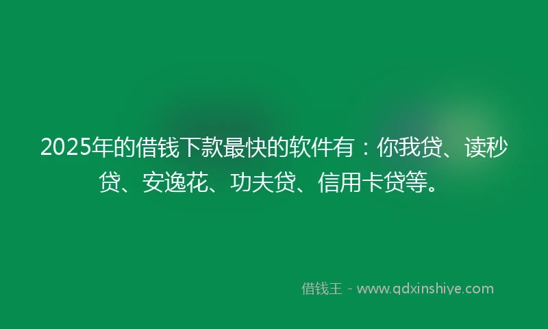 2025年的借钱下款最快的软件有：你我贷、读秒贷、安逸花、功夫贷、信用卡贷等。