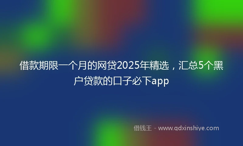 借款期限一个月的网贷2025年精选，汇总5个黑户贷款的口子必下app