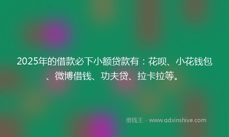 2025年的借款必下小额贷款有：花呗、小花钱包、微博借钱、功夫贷、拉卡拉等。