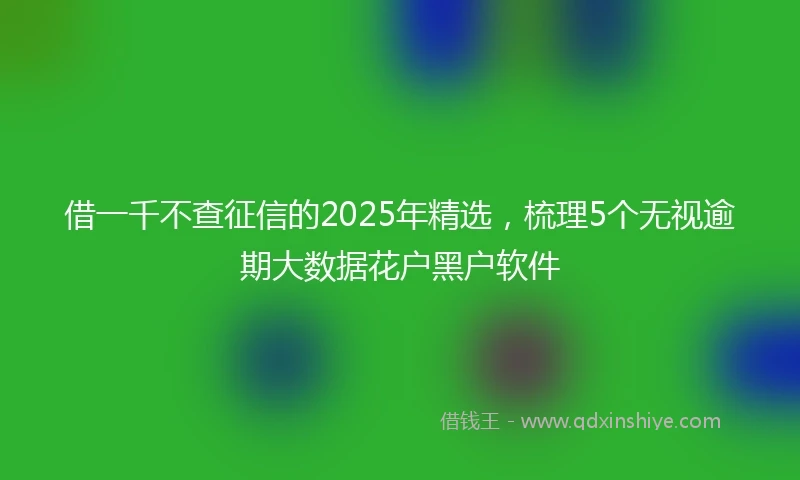 借一千不查征信的2025年精选，梳理5个无视逾期大数据花户黑户软件