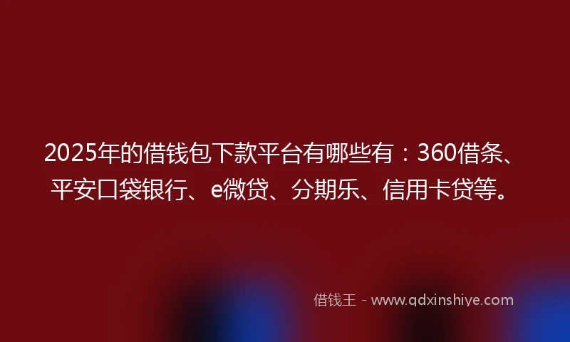 2025年的借钱包下款平台有哪些有：360借条、平安口袋银行、e微贷、分期乐、信用卡贷等。