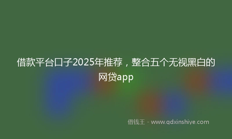 借款平台口子2025年推荐，整合五个无视黑白的网贷app