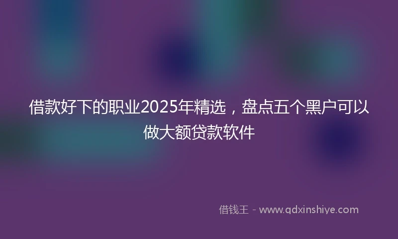 借款好下的职业2025年精选，盘点五个黑户可以做大额贷款软件
