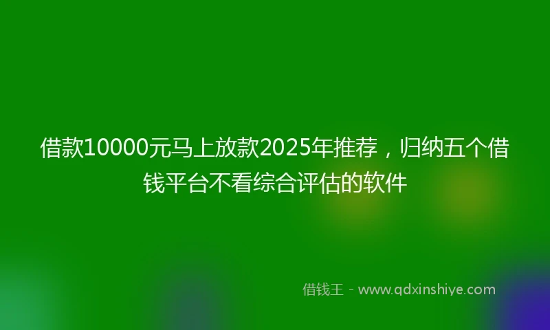借款10000元马上放款2025年推荐，归纳五个借钱平台不看综合评估的软件