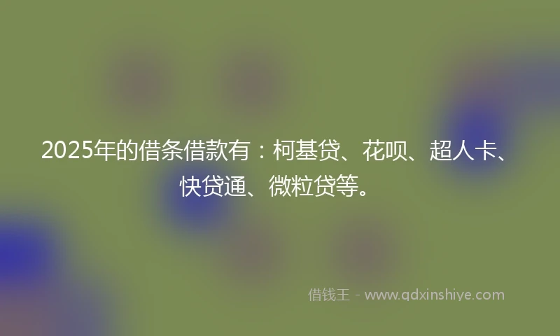 2025年的借条借款有：柯基贷、花呗、超人卡、快贷通、微粒贷等。