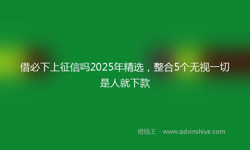 借必下上征信吗2025年精选，整合5个无视一切是人就下款