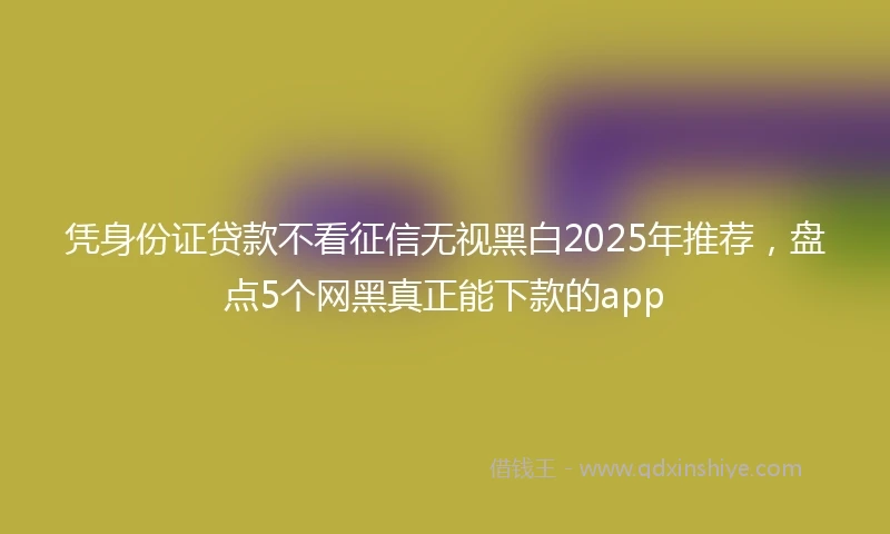凭身份证贷款不看征信无视黑白2025年推荐，盘点5个网黑真正能下款的app