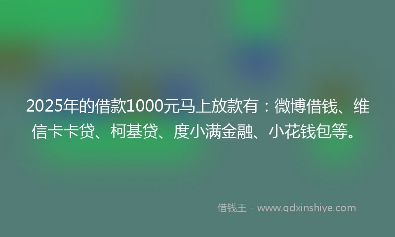 2025年的借款1000元马上放款有：微博借钱、维信卡卡贷、柯基贷、度小满金融、小花钱包等。