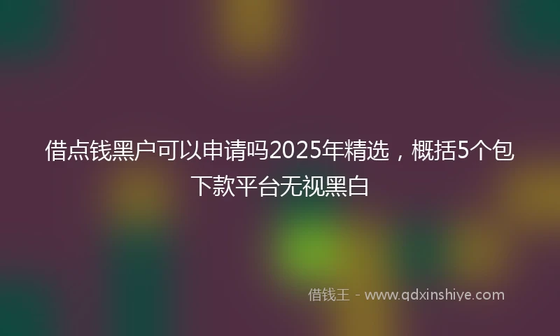 借点钱黑户可以申请吗2025年精选，概括5个包下款平台无视黑白