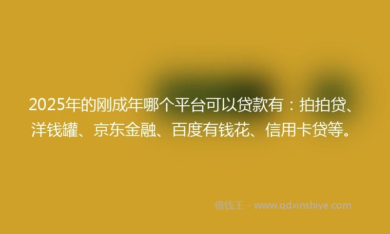 2025年的刚成年哪个平台可以贷款有：拍拍贷、洋钱罐、京东金融、百度有钱花、信用卡贷等。