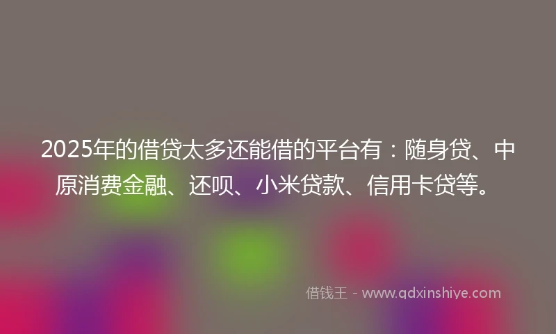 2025年的借贷太多还能借的平台有：随身贷、中原消费金融、还呗、小米贷款、信用卡贷等。