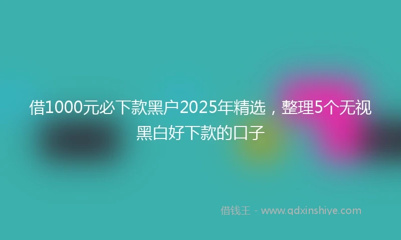 借1000元必下款黑户2025年精选，整理5个无视黑白好下款的口子