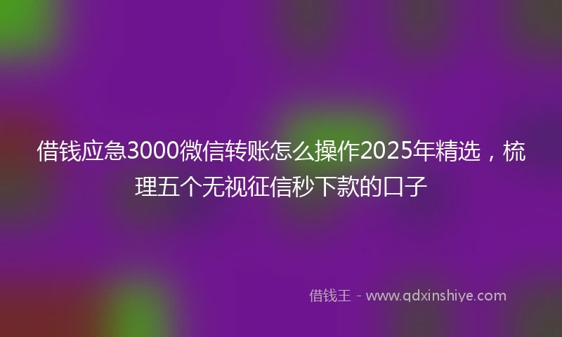 借钱应急3000微信转账怎么操作2025年精选，梳理五个无视征信秒下款的口子