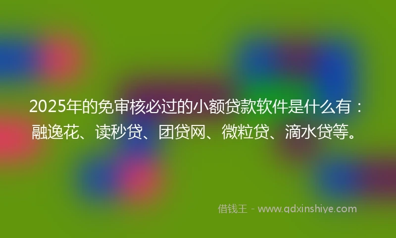 2025年的免审核必过的小额贷款软件是什么有：融逸花、读秒贷、团贷网、微粒贷、滴水贷等。