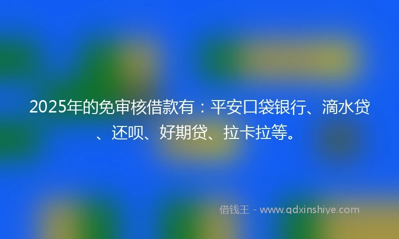 2025年的免审核借款有：平安口袋银行、滴水贷、还呗、好期贷、拉卡拉等。