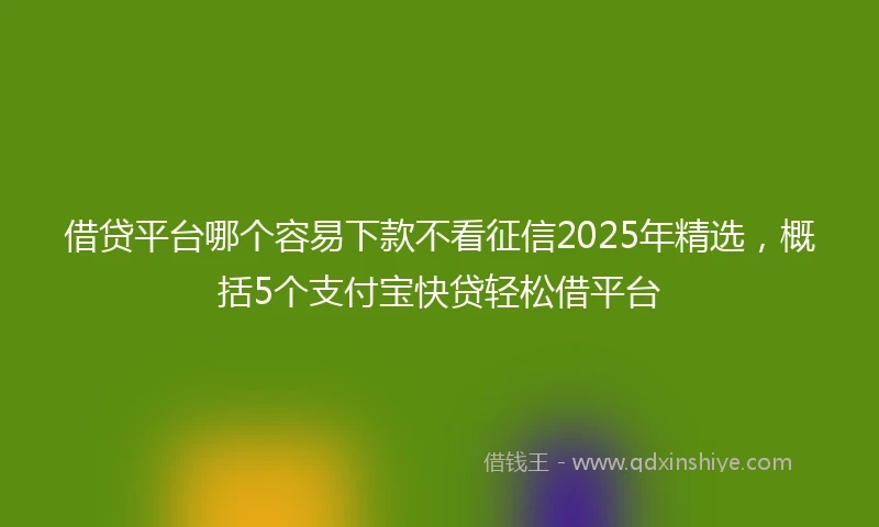 借贷平台哪个容易下款不看征信2025年精选，概括5个支付宝快贷轻松借平台