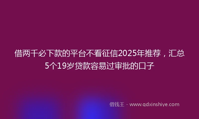 借两千必下款的平台不看征信2025年推荐，汇总5个19岁贷款容易过审批的口子