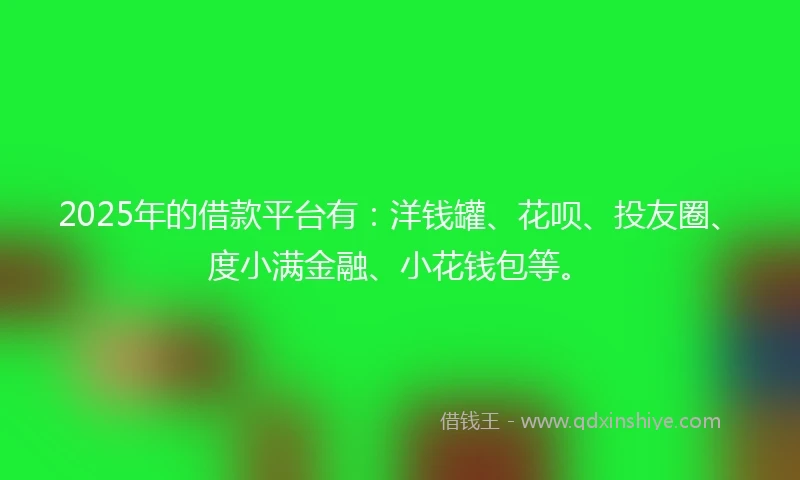 2025年的借款平台有：洋钱罐、花呗、投友圈、度小满金融、小花钱包等。