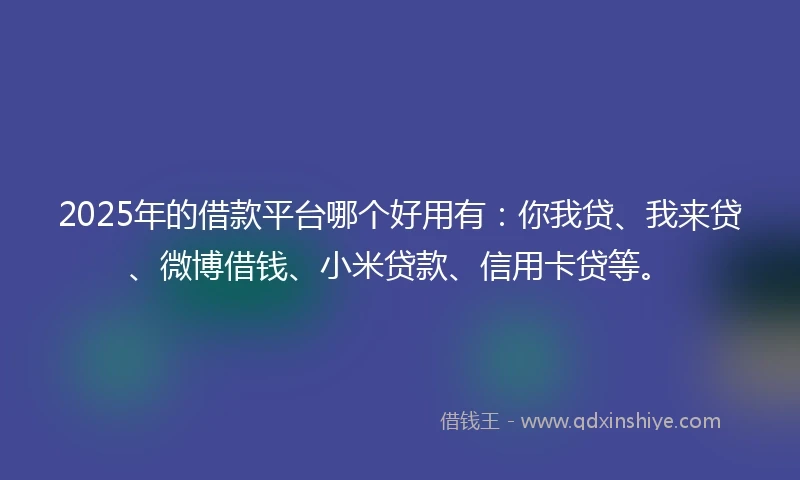 2025年的借款平台哪个好用有:你我贷、我来贷、微博借钱、小米贷款、信用卡贷等。
