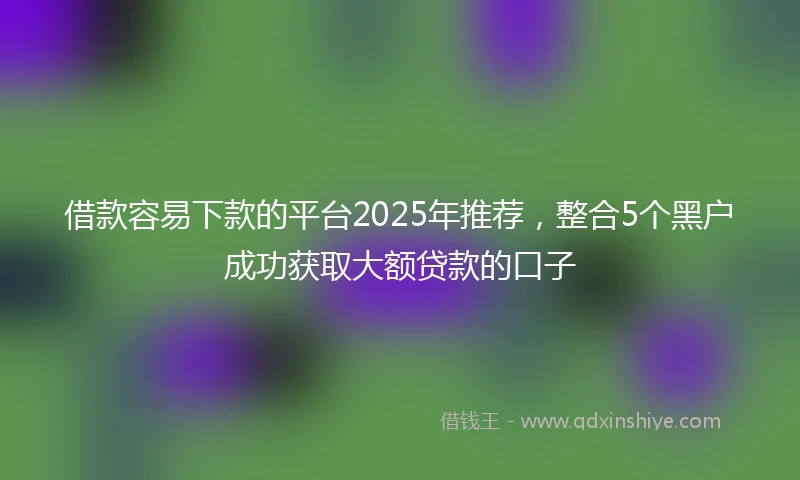 借款容易下款的平台2025年推荐，整合5个黑户成功获取大额贷款的口子