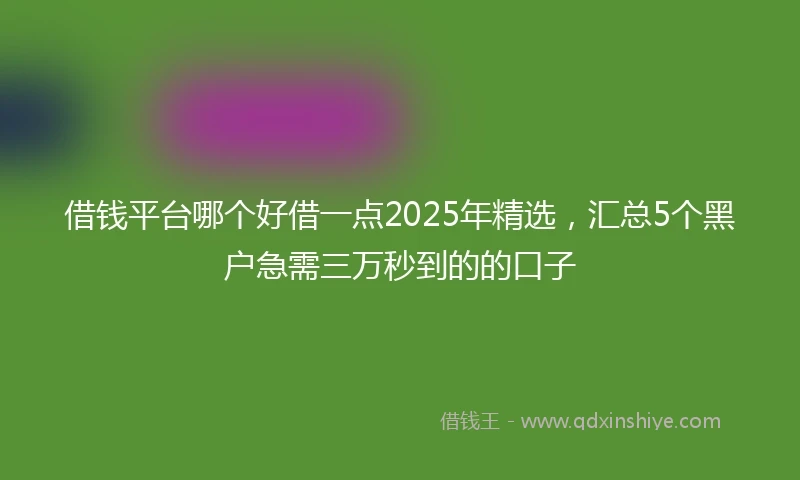 借钱平台哪个好借一点2025年精选，汇总5个黑户急需三万秒到的的口子