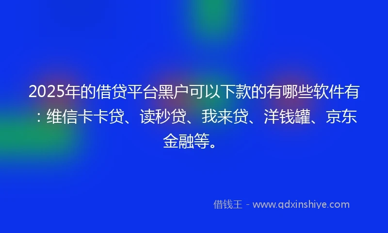 2025年的借贷平台黑户可以下款的有哪些软件有：维信卡卡贷、读秒贷、我来贷、洋钱罐、京东金融等。