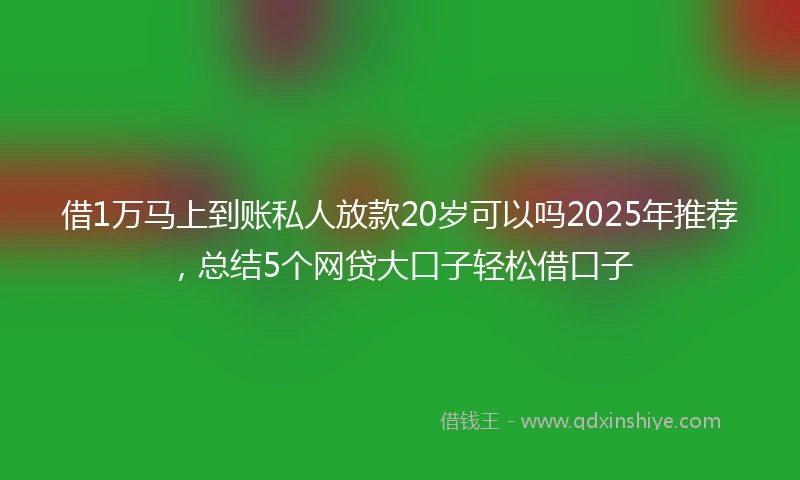 借1万马上到账私人放款20岁可以吗2025年推荐，总结5个网贷大口子轻松借口子