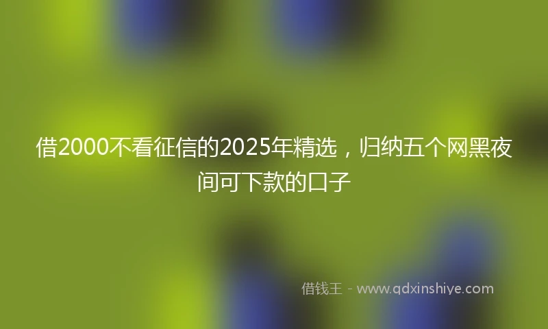 借2000不看征信的2025年精选，归纳五个网黑夜间可下款的口子