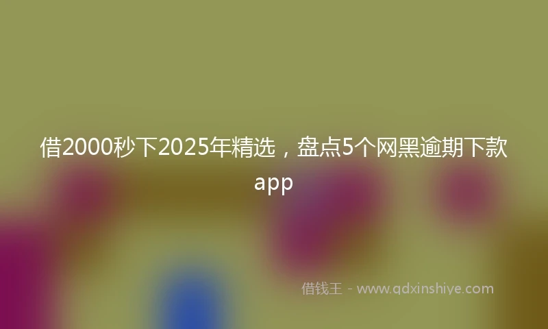 借2000秒下2025年精选，盘点5个网黑逾期下款app