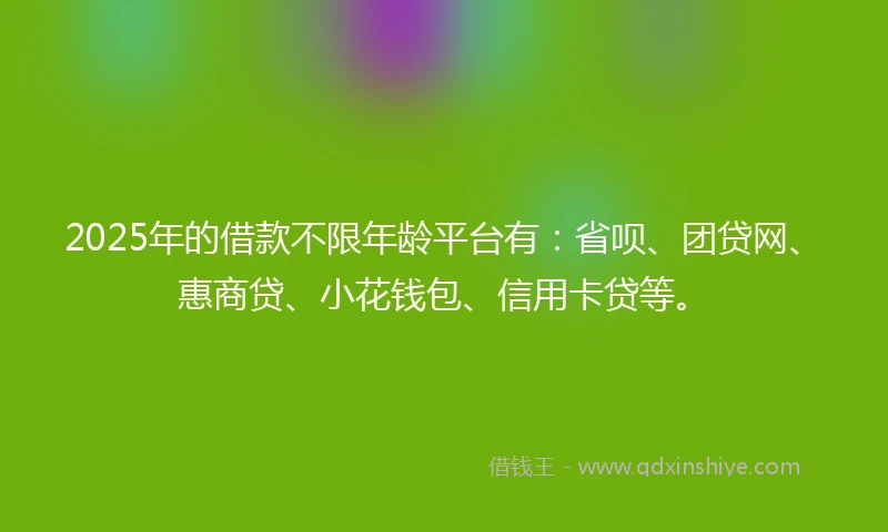 2025年的借款不限年龄平台有：省呗、团贷网、惠商贷、小花钱包、信用卡贷等。