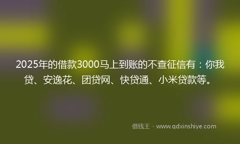 2025年的借款3000马上到账的不查征信有：你我贷、安逸花、团贷网、快贷通、小米贷款等。