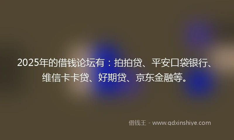 2025年的借钱论坛有：拍拍贷、平安口袋银行、维信卡卡贷、好期贷、京东金融等。