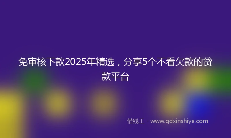 免审核下款2025年精选，分享5个不看欠款的贷款平台