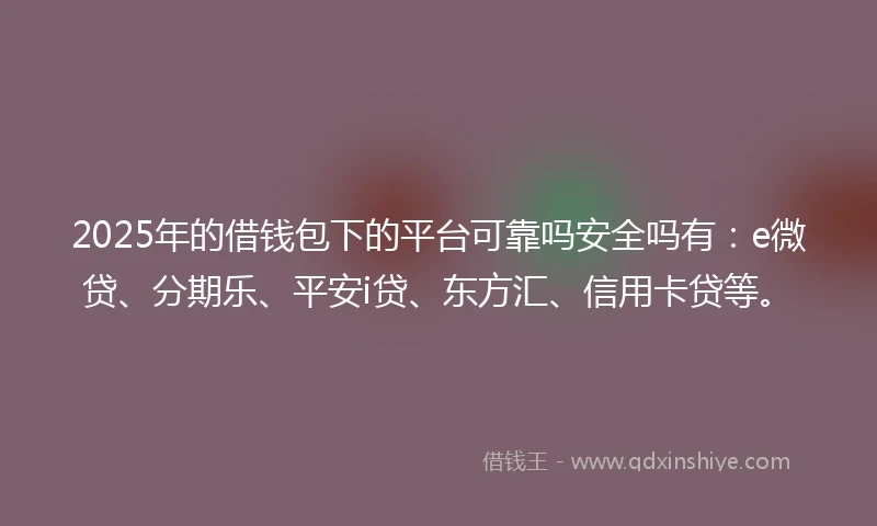 2025年的借钱包下的平台可靠吗安全吗有：e微贷、分期乐、平安i贷、东方汇、信用卡贷等。