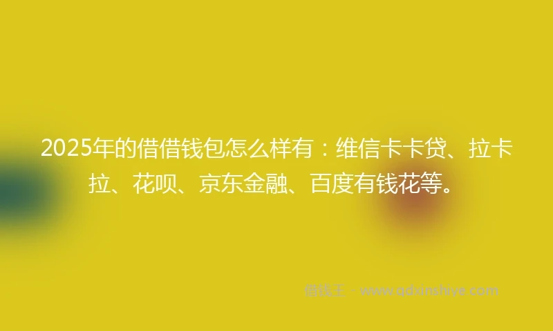 2025年的借借钱包怎么样有：维信卡卡贷、拉卡拉、花呗、京东金融、百度有钱花等。