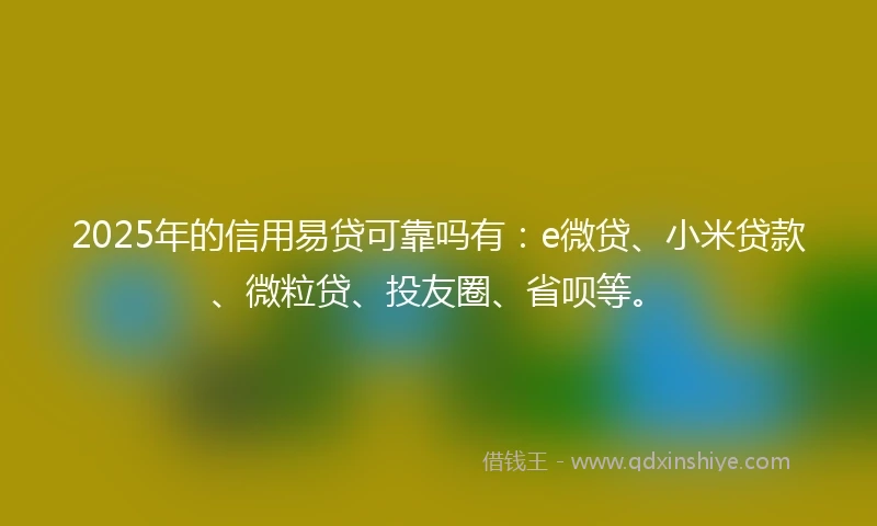 2025年的信用易贷可靠吗有：e微贷、小米贷款、微粒贷、投友圈、省呗等。