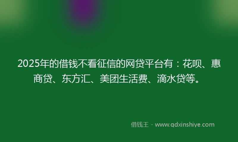 2025年的借钱不看征信的网贷平台有：花呗、惠商贷、东方汇、美团生活费、滴水贷等。