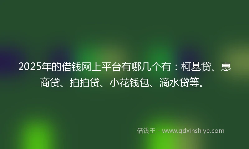 2025年的借钱网上平台有哪几个有：柯基贷、惠商贷、拍拍贷、小花钱包、滴水贷等。