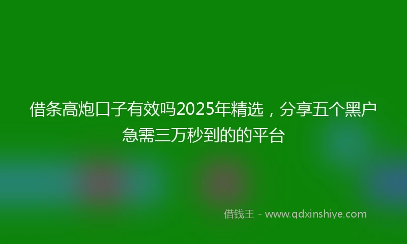 借条高炮口子有效吗2025年精选，分享五个黑户急需三万秒到的的平台
