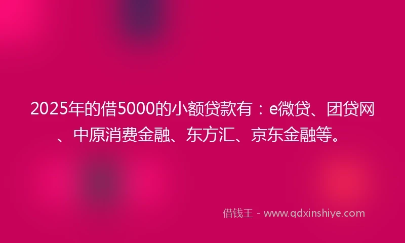 2025年的借5000的小额贷款有：e微贷、团贷网、中原消费金融、东方汇、京东金融等。