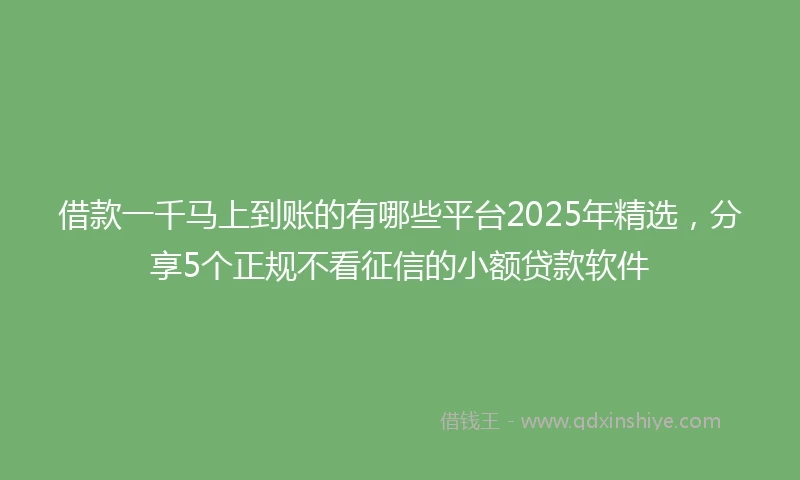 借款一千马上到账的有哪些平台2025年精选,分享5个正规不看征信的小额贷款软件