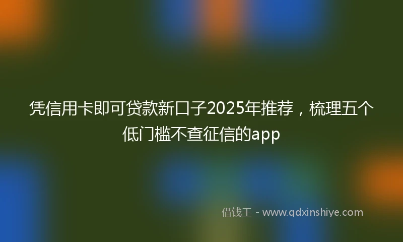 凭信用卡即可贷款新口子2025年推荐，梳理五个低门槛不查征信的app