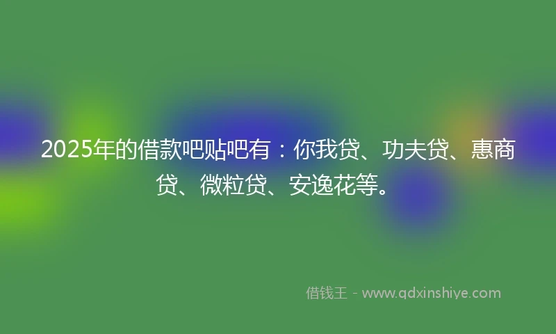 2025年的借款吧贴吧有：你我贷、功夫贷、惠商贷、微粒贷、安逸花等。
