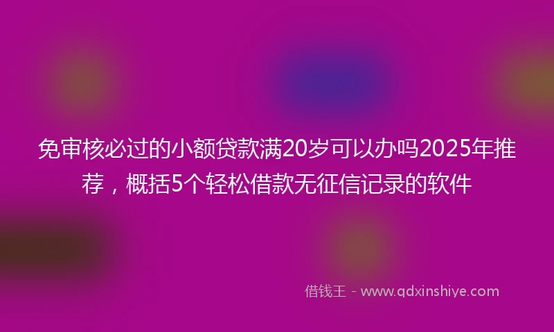 免审核必过的小额贷款满20岁可以办吗2025年推荐，概括5个轻松借款无征信记录的软件