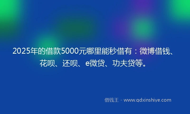 2025年的借款5000元哪里能秒借有：微博借钱、花呗、还呗、e微贷、功夫贷等。