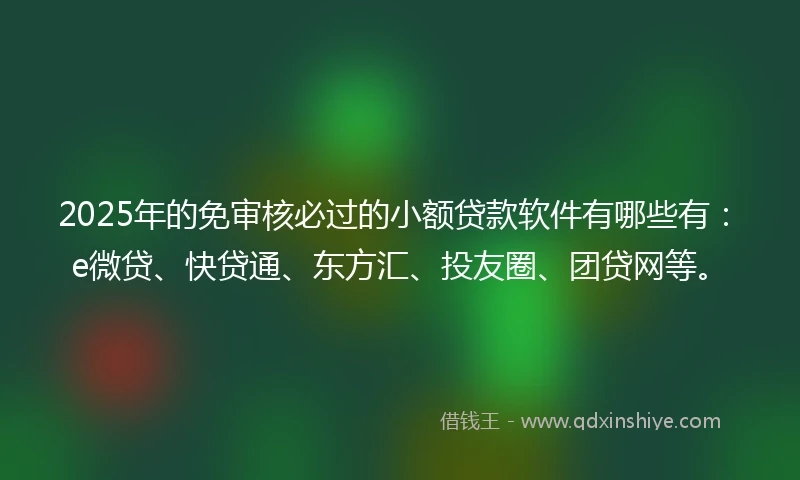2025年的免审核必过的小额贷款软件有哪些有：e微贷、快贷通、东方汇、投友圈、团贷网等。