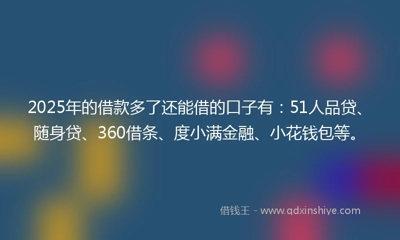 2025年的借款多了还能借的口子有：51人品贷、随身贷、360借条、度小满金融、小花钱包等。