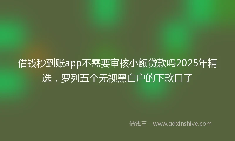 借钱秒到账app不需要审核小额贷款吗2025年精选，罗列五个无视黑白户的下款口子