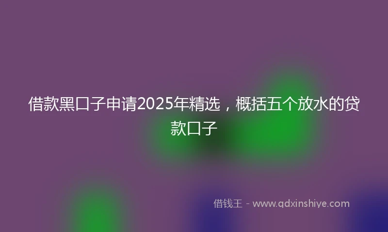 借款黑口子申请2025年精选，概括五个放水的贷款口子